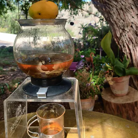 Estudio Wabi-sabi Pansiyon