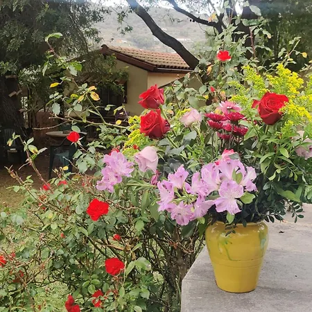 Estudio Wabi-sabi Homestay *