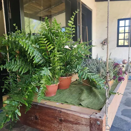 Estudio Wabi-sabi Homestay *